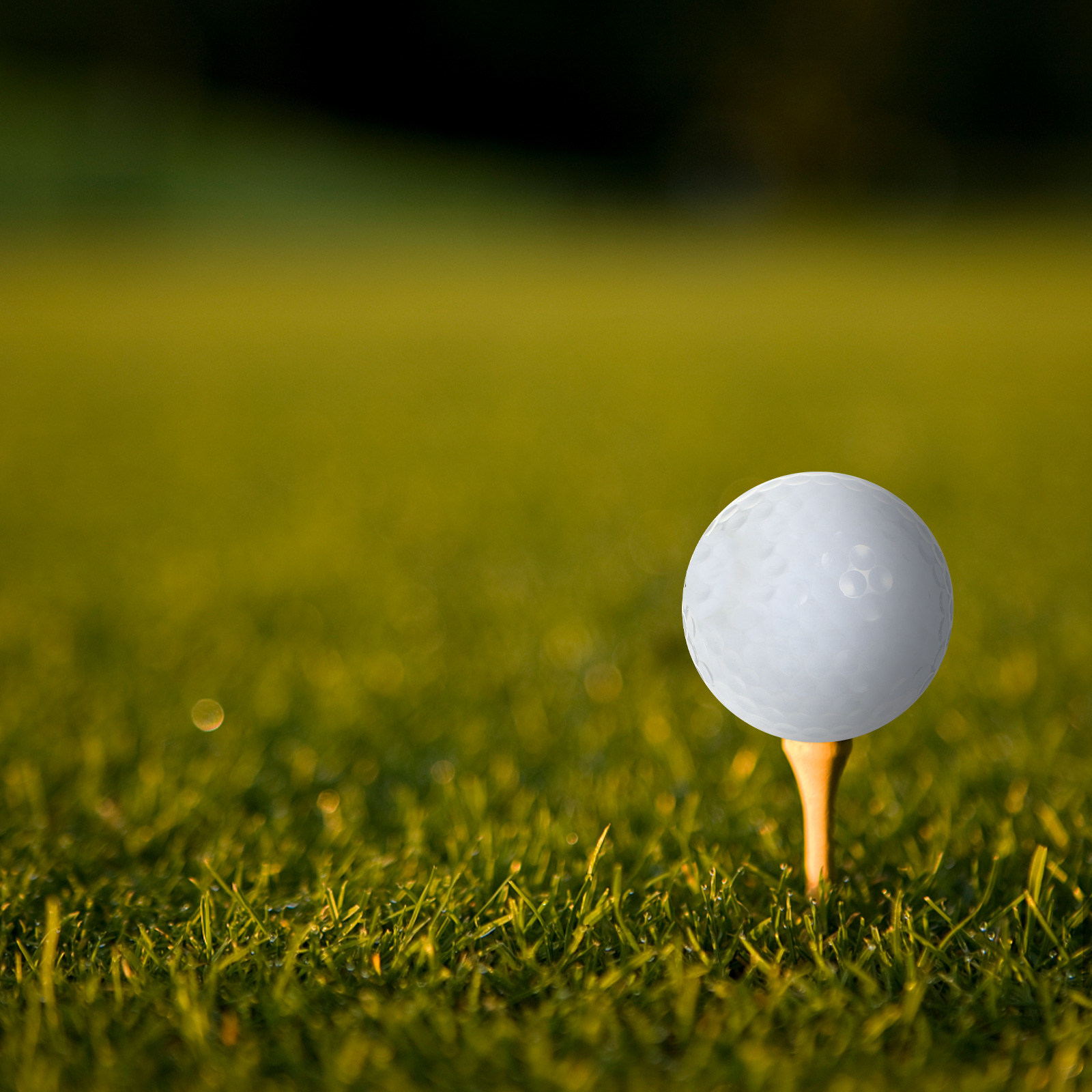 Golf Equipment Beginners - อุปกรณ์ลูกกอล์ฟสำหรับฝึกซ้อมในร่ม สีขาว ระยะไกล นุ่ม สำหรับผู้เริ่มต้น