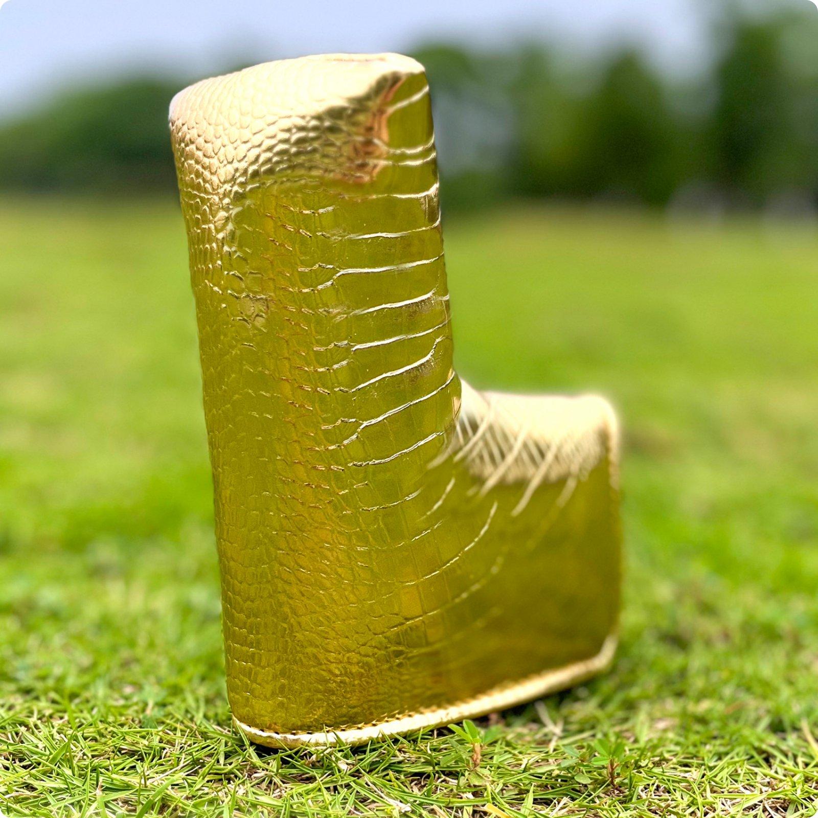ปลอกคลุมหัวไม้พัตเตอร์กอล์ฟแบบ - Putter Mallet Blade บทวิจารณ์และราคา