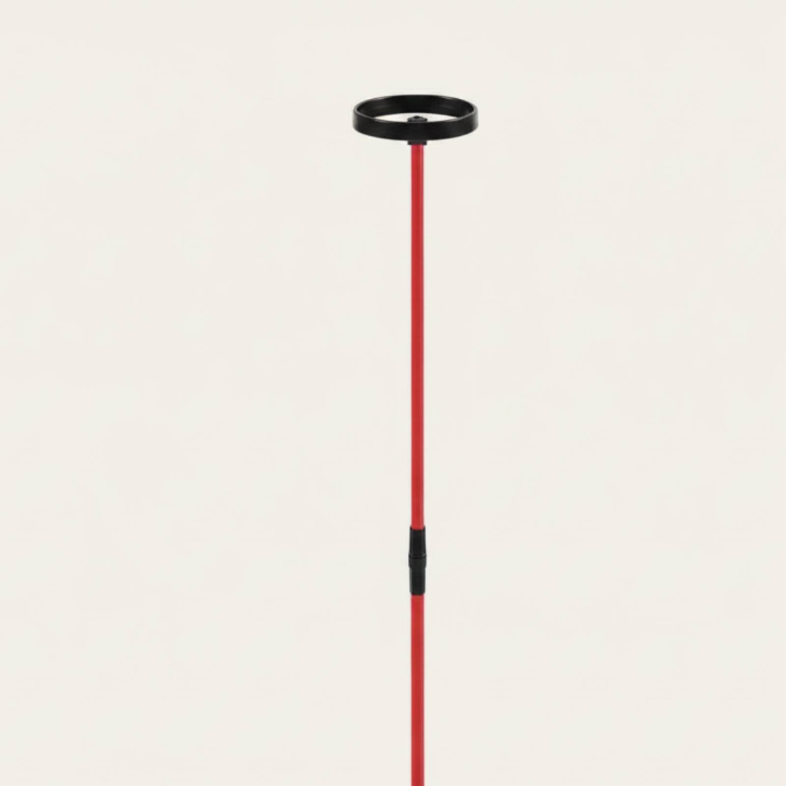 อุปกรณ์ช่วยฝึกซ้อมกอล์ฟพร้อมวง - Training Aid Swing บทวิจารณ์และราคา